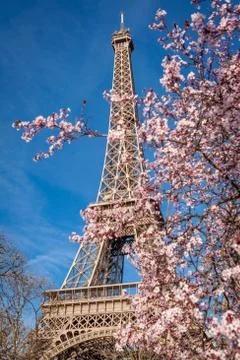 Eiffel Tower in Paris Foto stock