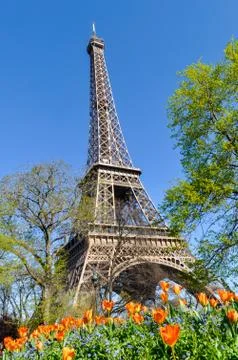 The Eiffel Tower in Paris Stock Photos
