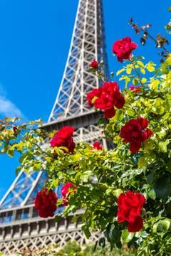 The Eiffel Tower in Paris 스톡 사진