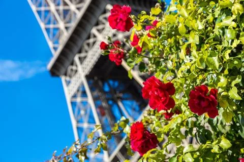 The Eiffel Tower in Paris Stock Photos