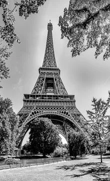 Eiffel tower in paris Foto stock