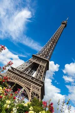 The Eiffel Tower in Paris 스톡 사진