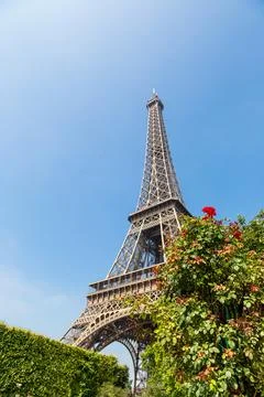 The Eiffel Tower in Paris Stock Photos