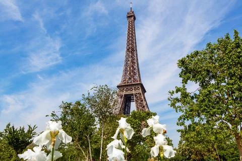 The Eiffel Tower in Paris Stock Photos