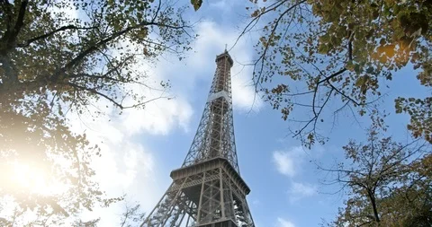 Eiffel tower in Paris through the leaves of trees, autumn Stock Footage 119542798