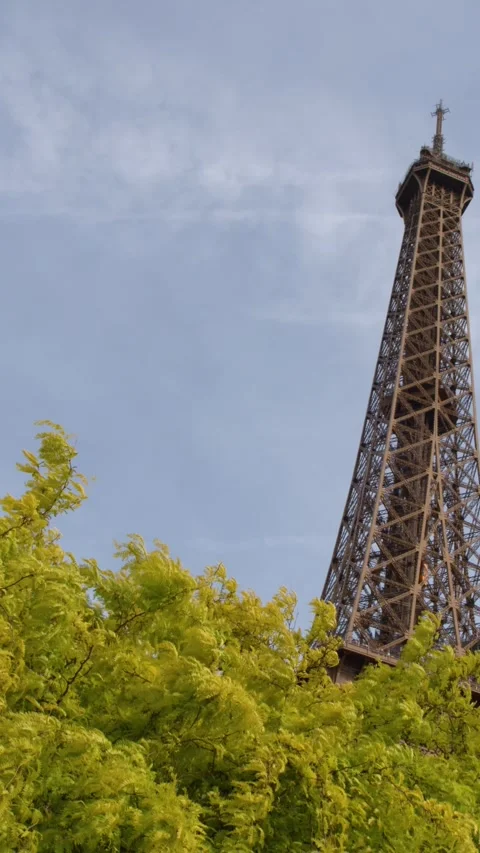 Eiffel Tower Peak Revealed Behind Lush Green Trees in Paris Stock Footage 334833527