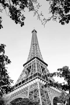 Eiffel tower Stock Photos