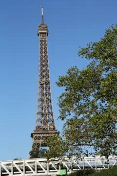 Eiffel tower  Stock Photos