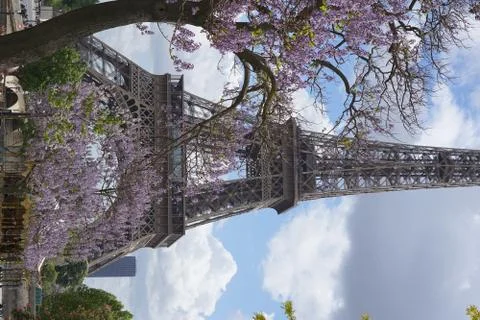 The Eiffel Tower Fotos Stock