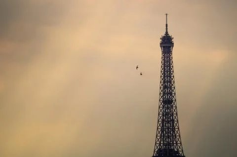 Eiffel tower Stock Photos