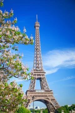 Eiffel Tower 스톡 사진