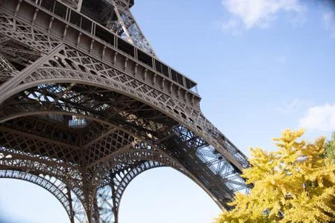 Eiffel Tower 库存照片