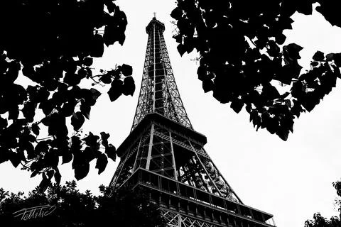 Eiffel tower Stock Photos