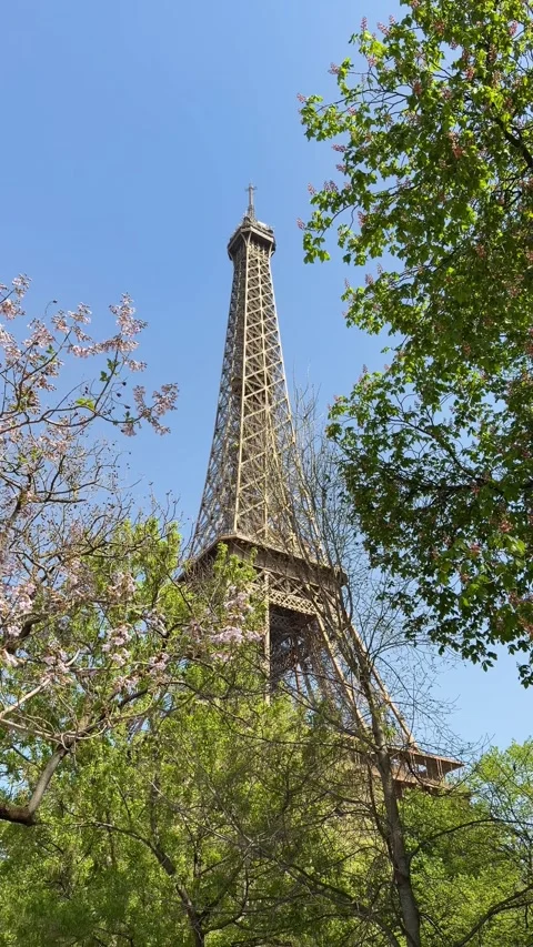 Eiffel Tower rising above spring foliage against blue sky Stock Footage 334107149