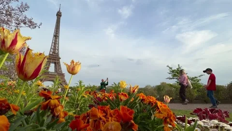 Eiffel Tower rising behind vibrant spring flowers in Paris, France Video stock 334114358