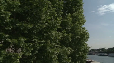 Eiffel Tower Riverside and Trees Stock Footage 52889056