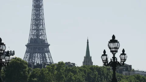 The Eiffel Tower Seen Behind the Bushes Stock Footage 88883220