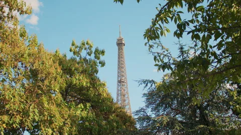 Eiffel Tower seen through a natural frame of green trees on a sunny day Stock Footage 313412374