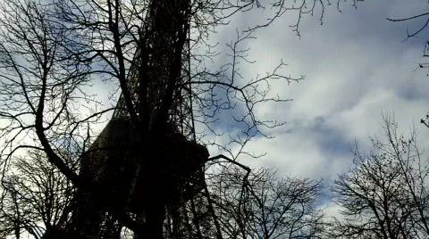 Eiffel Tower seen through the trees of winter Stock Footage 626830