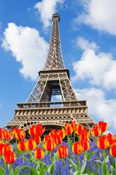 Eiffel tower at spring, paris Stock Photos