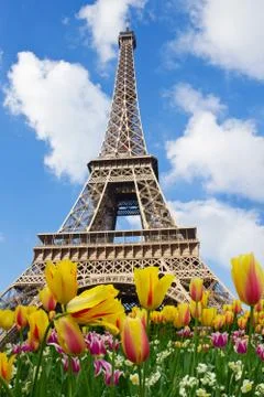 Eiffel Tower at spring, Paris Stock Photos
