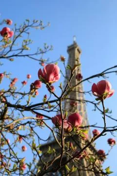 Eiffel Tower in spring time, Paris, France Stock Photos