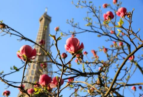 Eiffel Tower in spring time, Paris, France Stock Photos