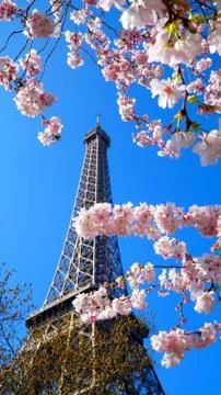 Eiffel Tower in spring time, Paris, France Foto stock
