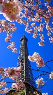 Eiffel Tower in spring time, Paris, France Stock Photos
