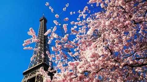 Eiffel Tower in spring time, Paris, France Stock Photos