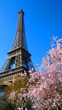 Eiffel Tower in spring time, Paris, France 写真素材