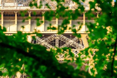 Eiffel Tower structure framed by vibrant green foliage Stock Photos