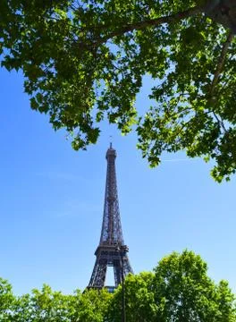 Eiffel Tower surrounded by trees branches with green leaves from a distance Stock Photos