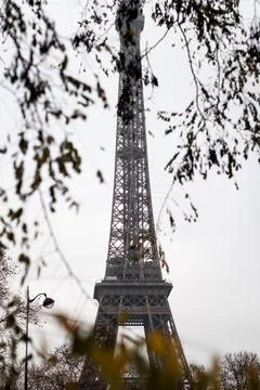 The Eiffel Tower through autumn branches in Paris Stock Photos