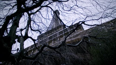Eiffel Tower Through Trees | Paris 2024 Stock Footage 277747100