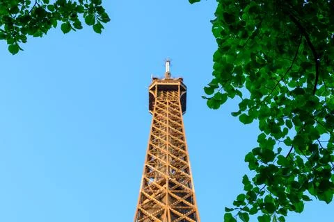 Eiffel Tower tip framed by lush green leaves Stockfoto's