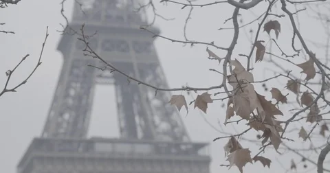 The Eiffel Tower (Tour Eiffel) through Autumn leaves / Paris, France - 4K Stock Footage 72370967
