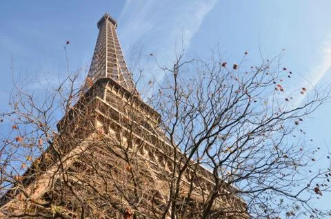 Eiffel tower, tree without letters in foreground and blue sky in background Stock Photos