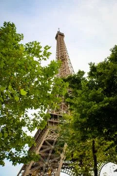 Eiffel Tower Trees Stock Photos