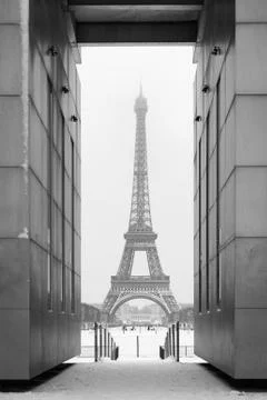 Eiffel tower under the snow Фото