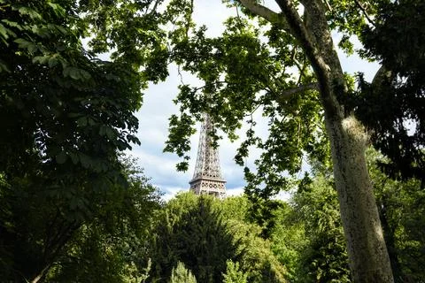 Eiffel Tower view through green trees in summer, Paris, France Stock Photos