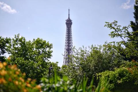 Eiffel Tower view through green park foliage in Paris Foto stock
