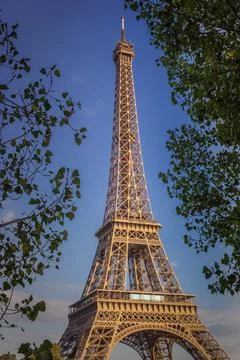Eiffel tower view from trocadero framed by trees, Paris, France Stock Photos