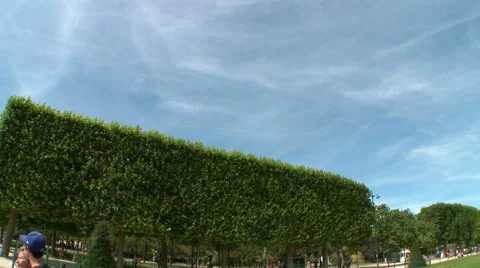 Eiffel Tower Wide Shot 2 Stock Footage 53010479