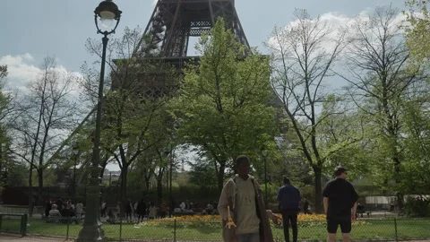 Eiffeltower in Paris viewed through spring foliage Stock Footage 248837127