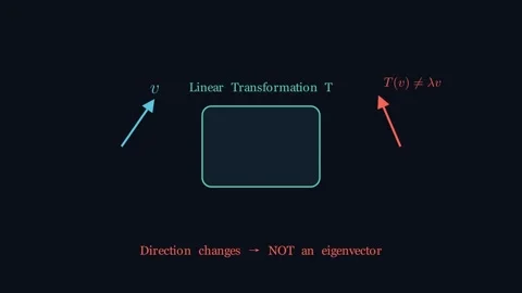 Eigenvectors - One equation, many disguises Stock Footage 340251705