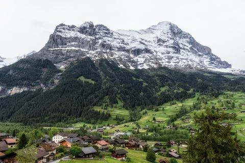 Eiger Mountain View Stock Photos