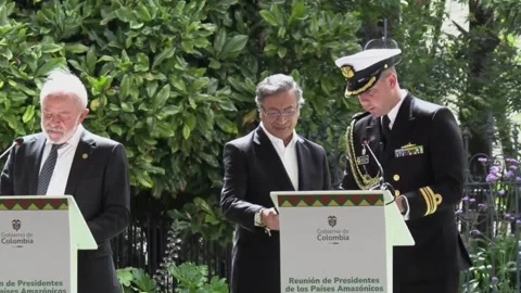 Eight Amazonian countries commit in Bogotá to "protect" the lungs of the world,  Vídeo Stock 315314983