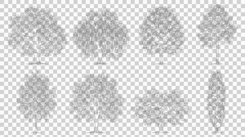 Eight assorted tree elevation sketches isolated on transparent background Stock Illustration
