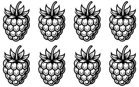 Eight Black and White Raspberry in Two Rows fruit berries Stock Illustration